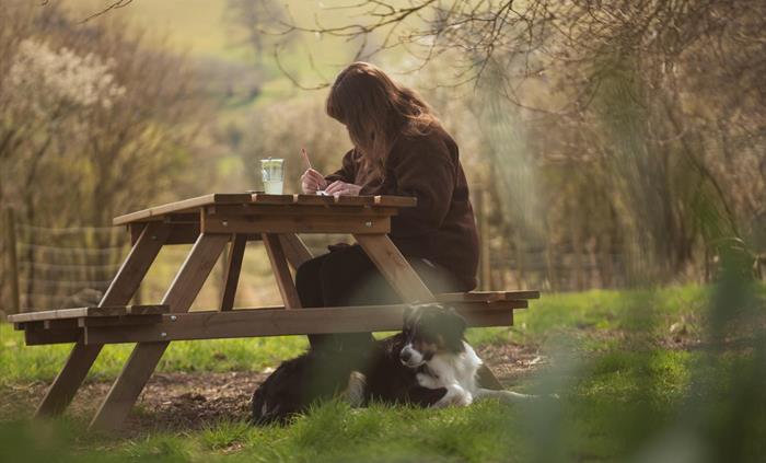 A perfect artists retreat under The Glade